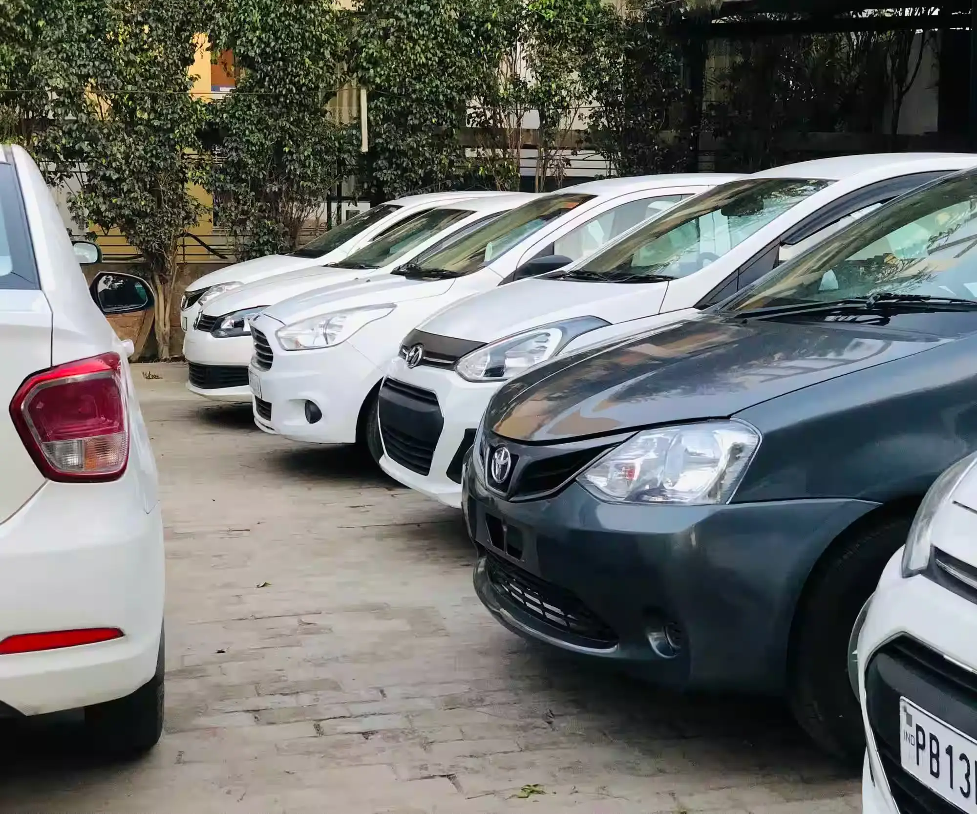 Used Cars In Sangrur
